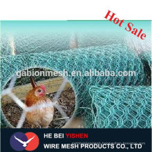 Hot sale stainless steel chicken wire China supplier